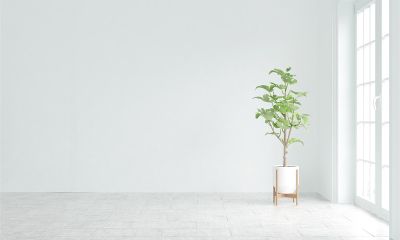 定制木門勢不可擋 個(gè)性定制漸成潮流